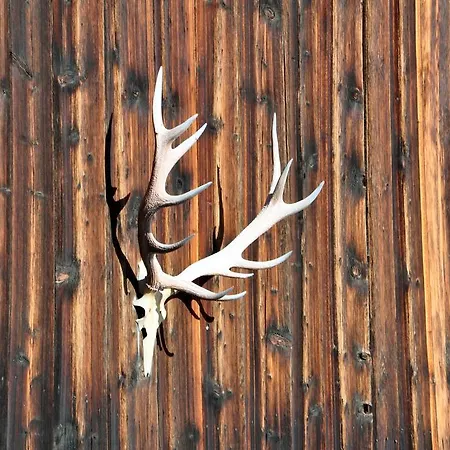 منزل ريفي Gasthof Weyerhof برامبرغ ام ويلدكوغه