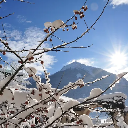 Weyerhof * ブラームベルク・アム・ヴィルトコーゲル